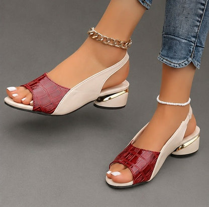 Sandalias Cocodrilo | Tacón bajo